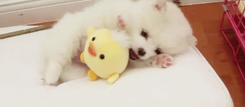 ezcu7pf.gif