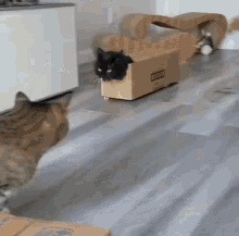 cat-box.gif