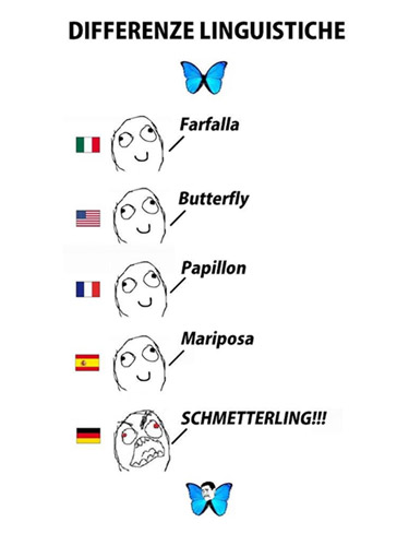 differenze-linguistiche.jpg