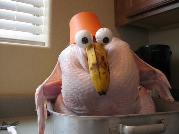 funnyturkey-600x450.jpg
