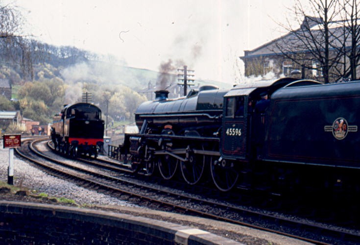 7913.jpg