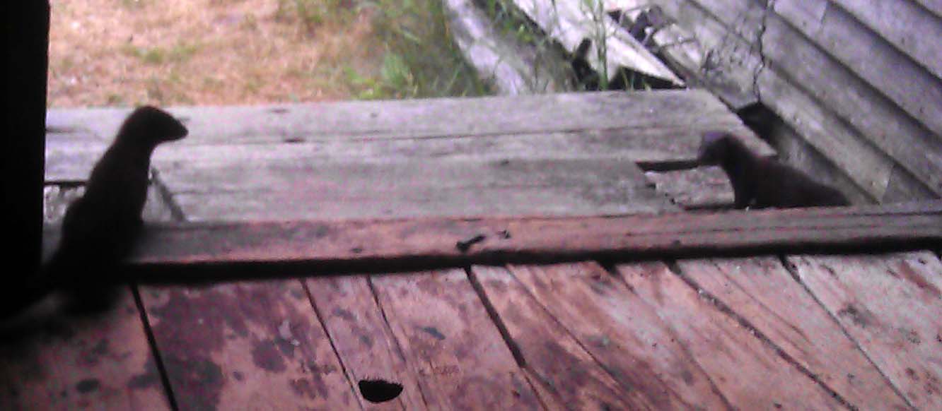 kathi17IMAG0975.jpg