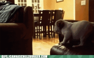 pup-fail