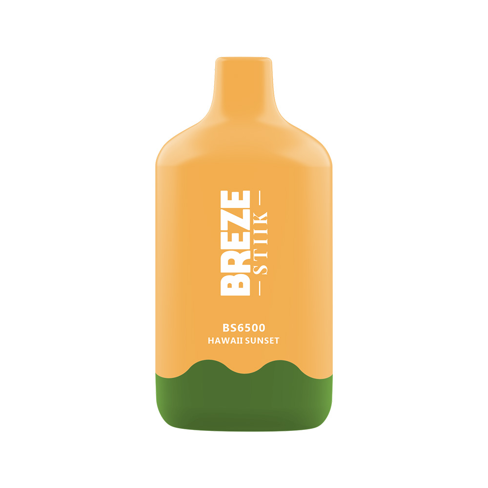 breze-stiik-bs6500.jpg