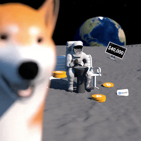 giphy-downsized-large.gif