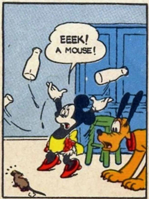 toon_minnie-mouse-eek.jpg