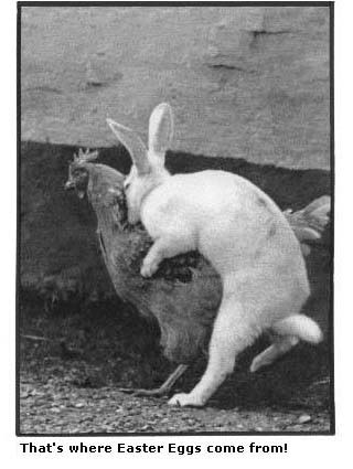 funnyeaster114.jpg