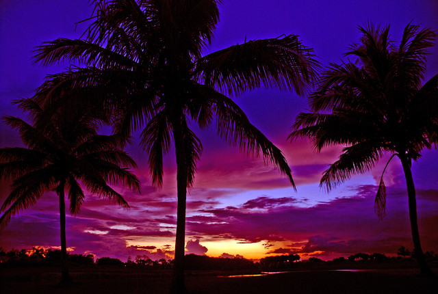sunset1.jpg