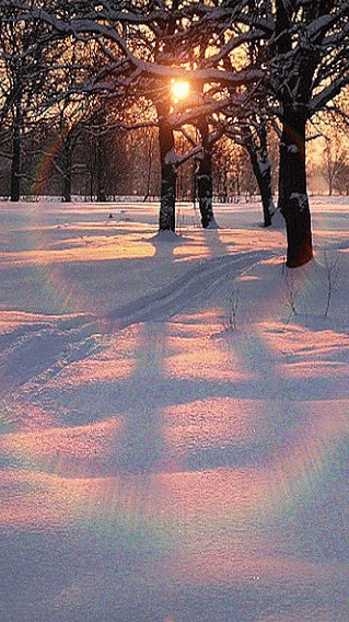 5a50877c72e2597c0c2714db1aaf34fa.gif