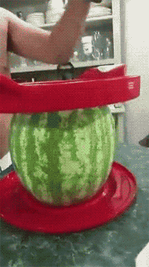 daily_gifdump_844_25.gif