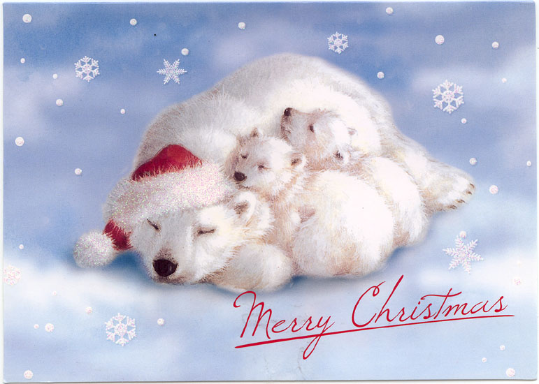 mother-polar-bear-and-3-babies-christmas-card.jpg
