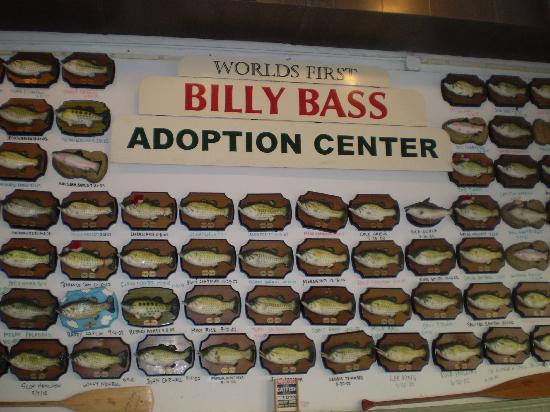 flying-fish-billy-bass.jpg