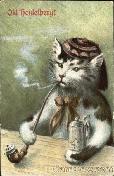 card00364_fr.jpg
