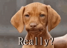 da2e4a9647fcc8628980f7bd79390c3b.gif
