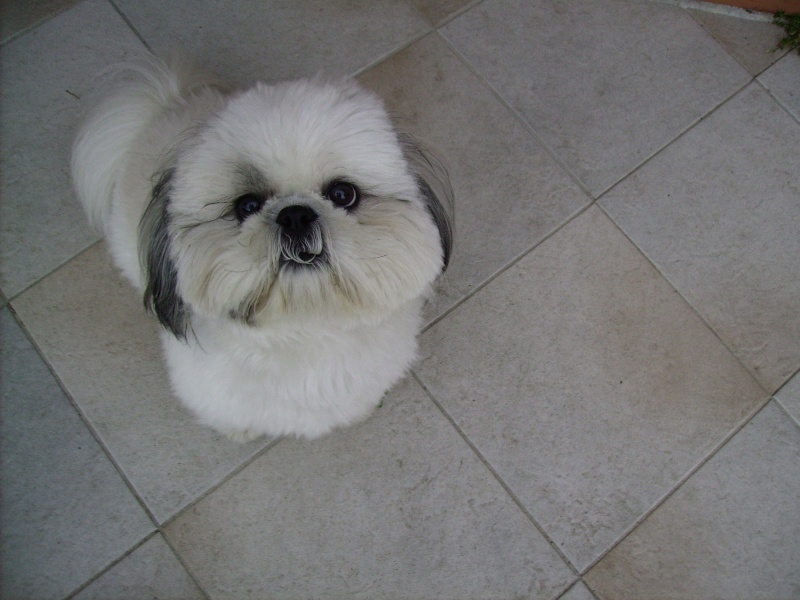 pict0010.jpg