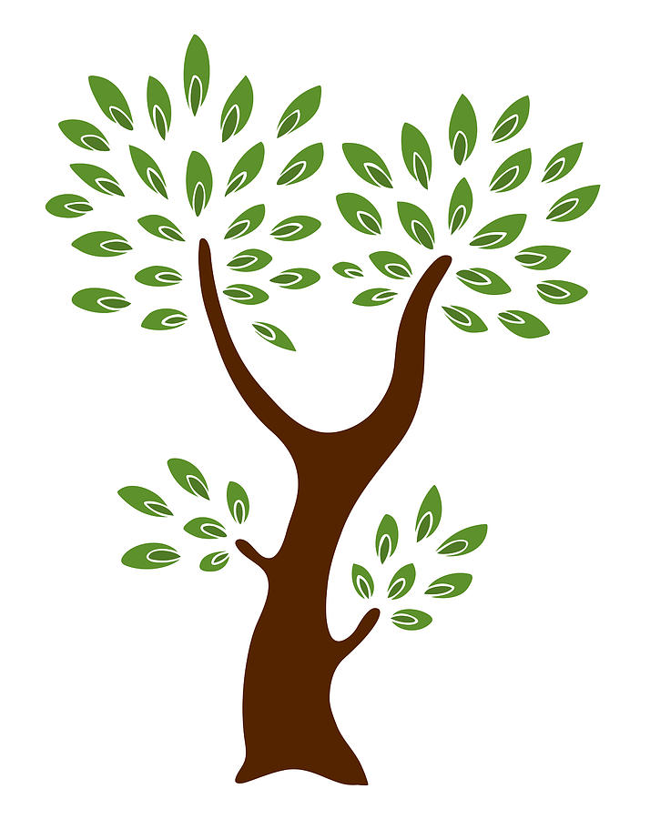a-tree-frank-tschakert.jpg