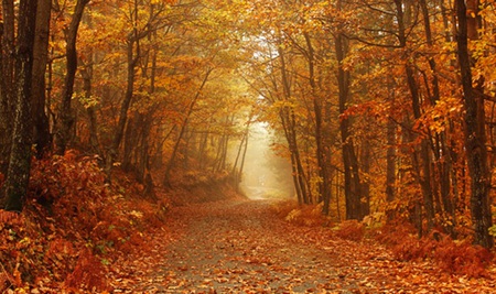 638192-bigthumbnail.jpg
