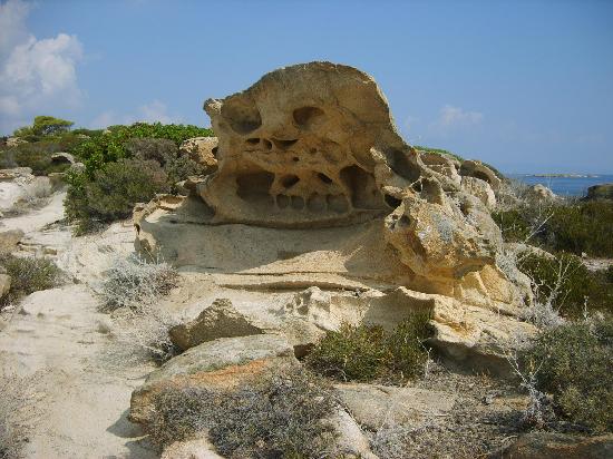 strange-nature.jpg