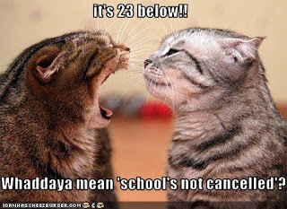 lolcat