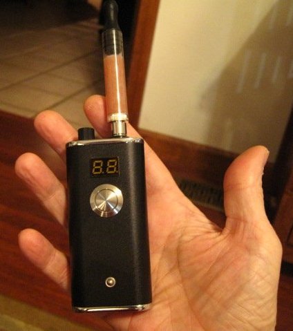 lexi-dna7.jpg