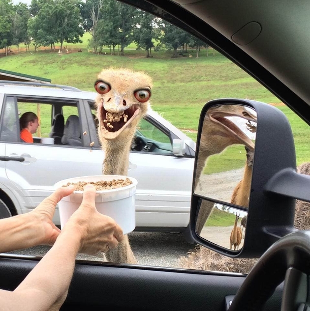 aww-yiss-breadcrumbs-280957.jpg