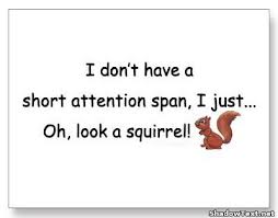 oh-look-a-squirrel.jpg
