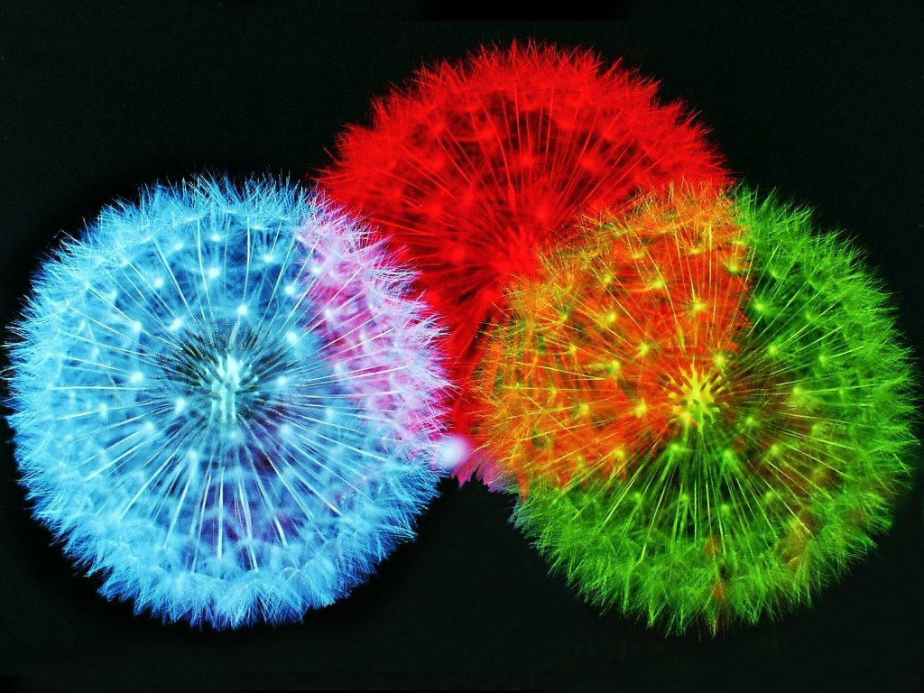 color-fireworks.jpg