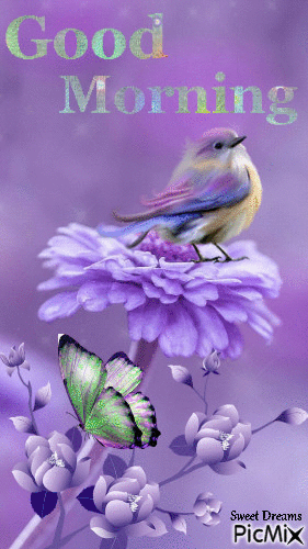 8bd8110ab0da0a0d4b8ff3da9f71c56e.gif