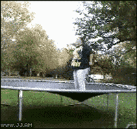 i1u6zif.gif