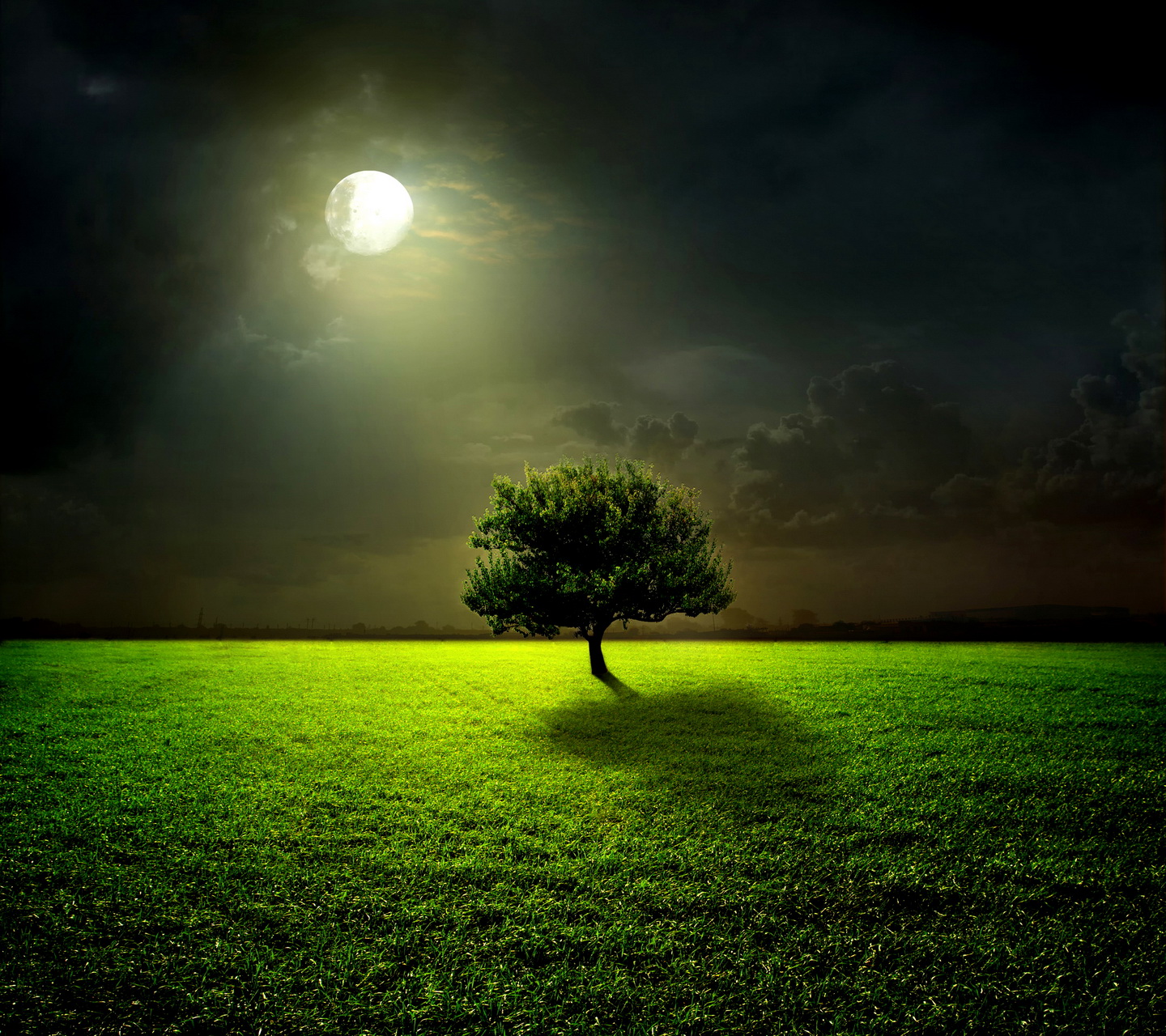 full-moon.jpg
