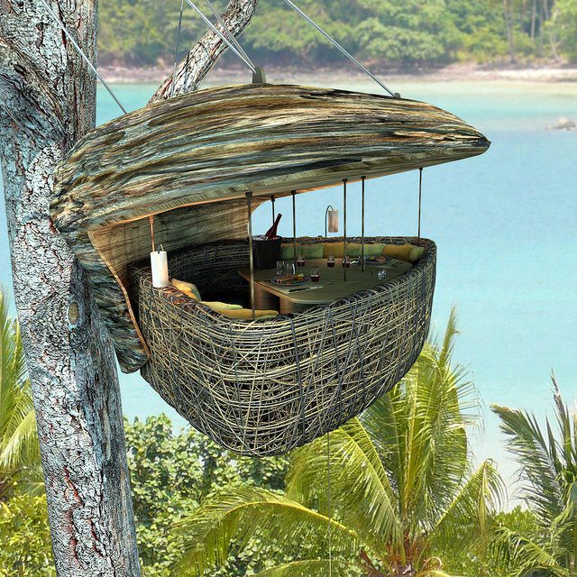 tree-house2.jpg