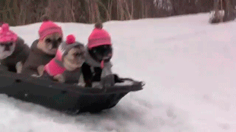 31b0bbf1-c9a5-445b-a891-cfccf8259dd9.gif
