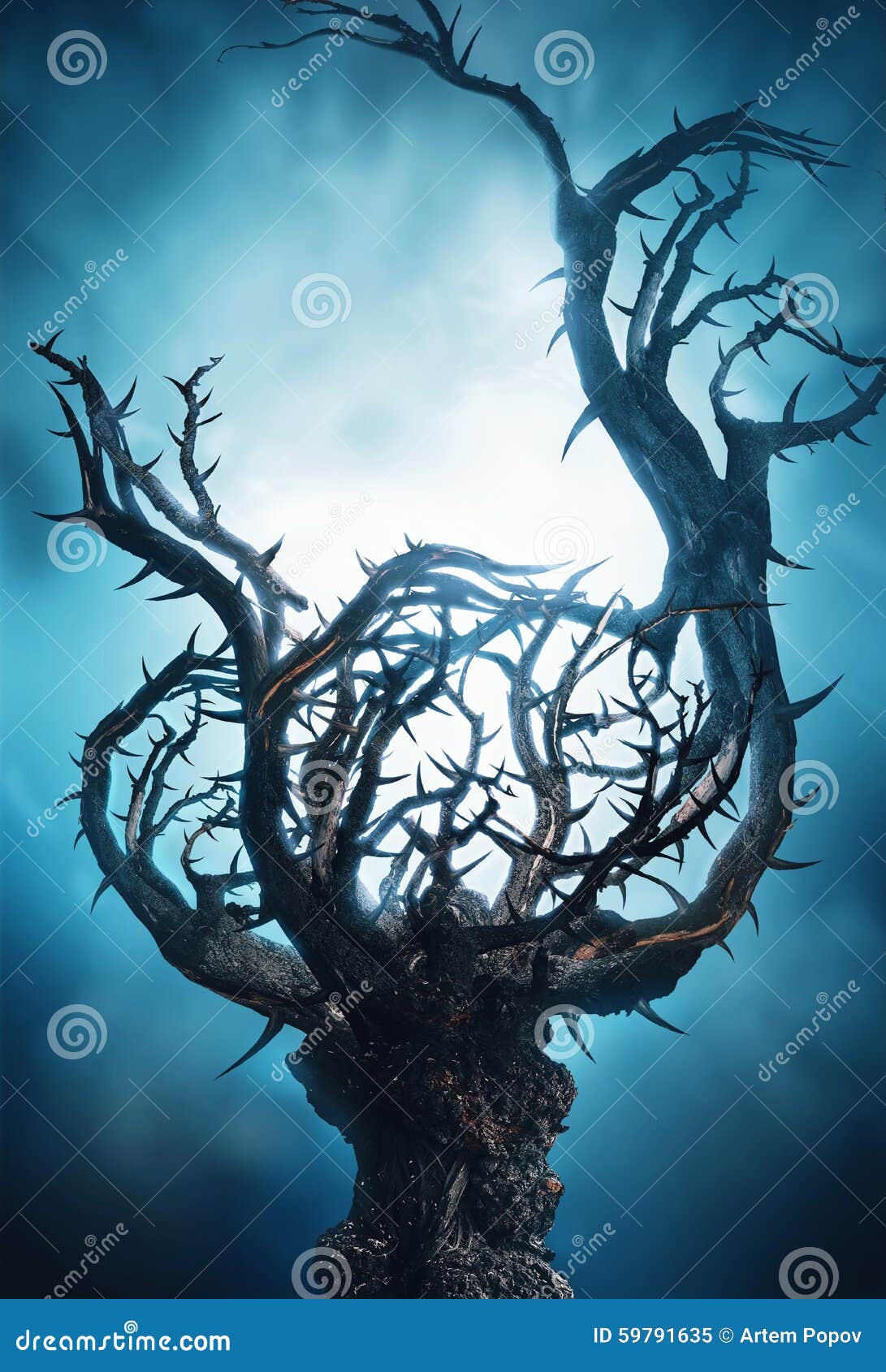 mystic-dark-tree-thorns-blue-fog-night-59791635.jpg