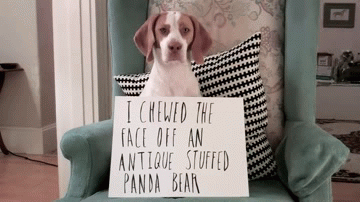 DGFs9UG.gif
