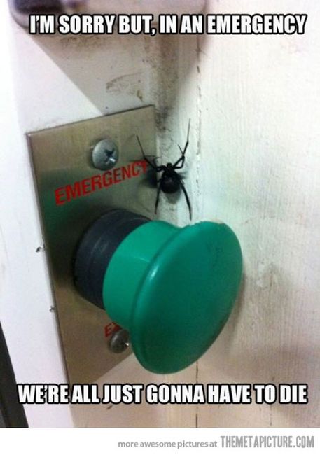 cc0ca7bff574c4f64790f364223bff35.jpg