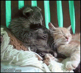 b6jao57.gif