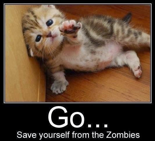 zombie-cat.jpg