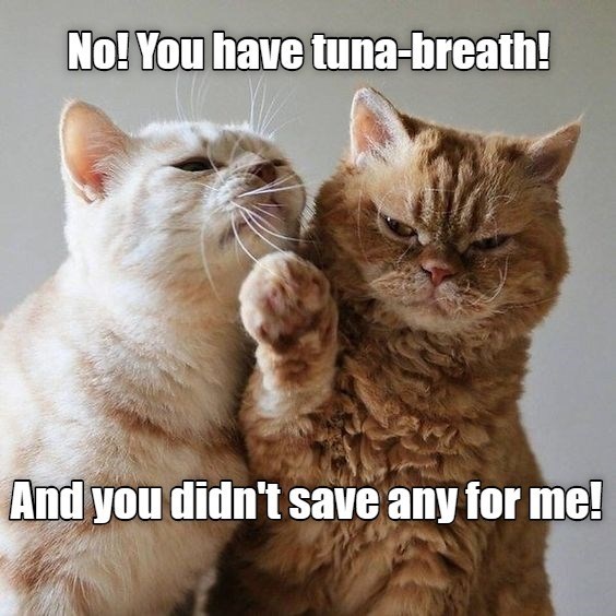 tuna-breath
