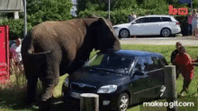elephant-attack.gif