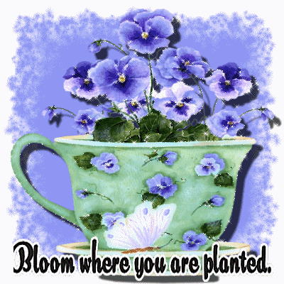 flower_3.gif