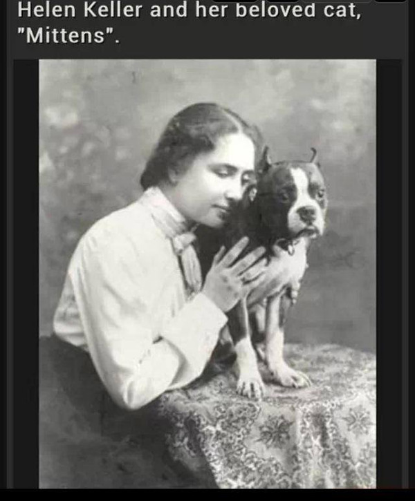 helen-keller-and-cat.jpg
