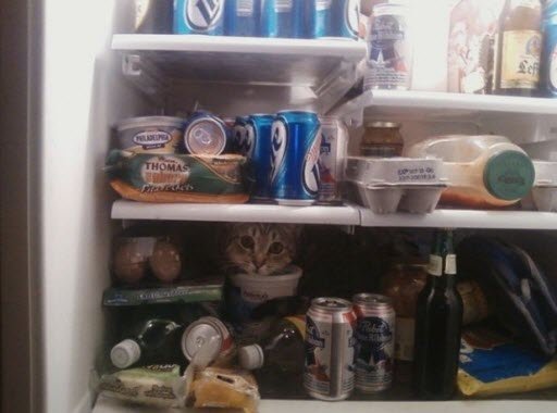 hide-and-seek-8.jpg