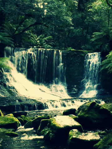 beautiful_animations_part_9_14.gif