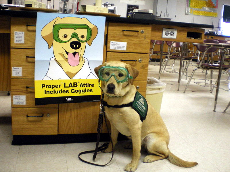 proper-lab-attire.jpg