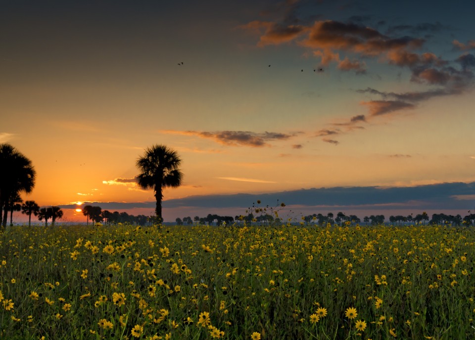 20121010_Jessup_06551-960x688.jpg
