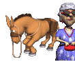 donkey_kicking_bucking_md_clr.gif