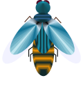 firefly.gif