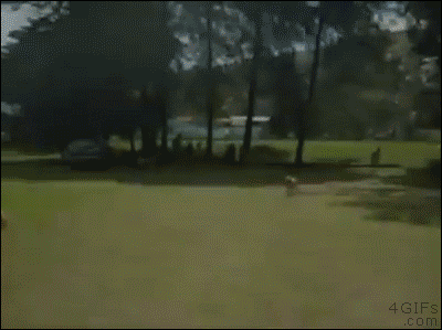 daily_gifdump_869_28.gif