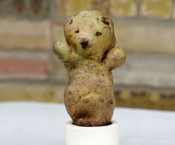 funny-shaped-vegetables-fruits-14.jpg