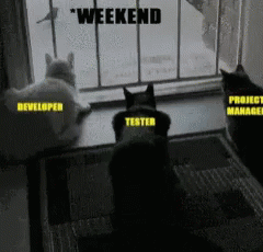 e603a151352c8ed85272493f6e4e84c9.gif